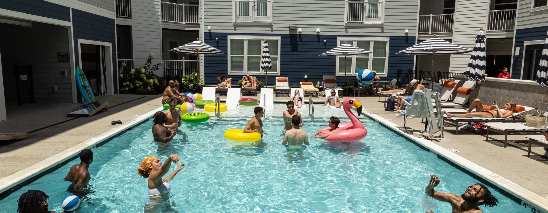 Check out what's making at splash at AMV!
